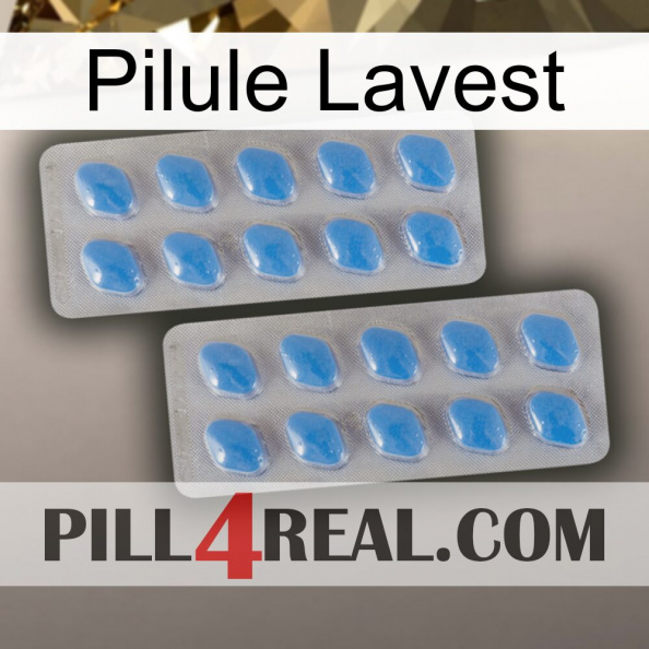 Lavest Pill 23